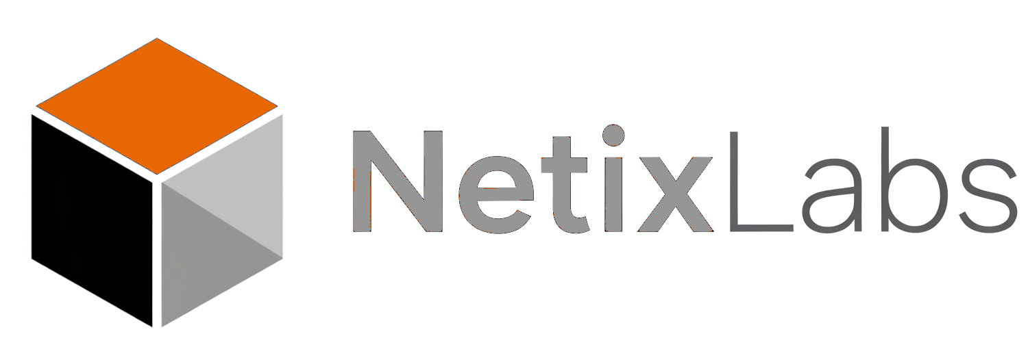 NetixLabs Logo